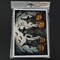 Edge Collections - 5" x 7" - Multicolor - Whimsical Witches Halloween Greeting Cards - 8 Pieces